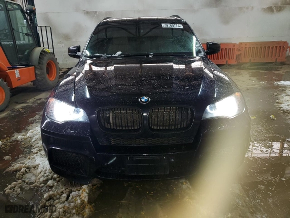 2010 BMW X5 M with VIN 5YMGY0C58ALK25417, listed as a Copart auction lot 79769774 with 174,765 mi miles and Salvage Title. Bid and sale history available at carsss.com. Image 5.