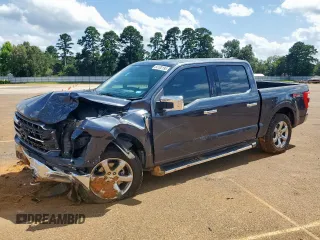 2021 Ford F-150 XL with VIN 1FTFW1E81MFA25814, listed as a Copart auction lot 64100195 with 79,210 mi miles and Salvage title. Bid and sale history available at DreamBid. Image 1.