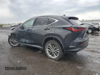 2022 Lexus NX 350h Premium with VIN 2T2GKCEZ8NC008566, listed as a Copart auction lot 53212805 with 44,537 mi miles and Salvage title. Bid and sale history available at DreamBid. Image 2.