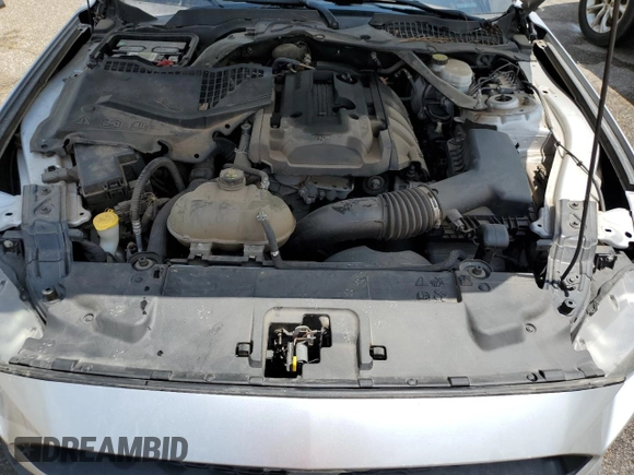 2019 Ford Mustang EcoBoost with VIN 1FATP8UH8K5138680, listed as a Copart auction lot 61416985 with 123,280 mi miles and Clean title. Bid and sale history available at DreamBid. Image 11.