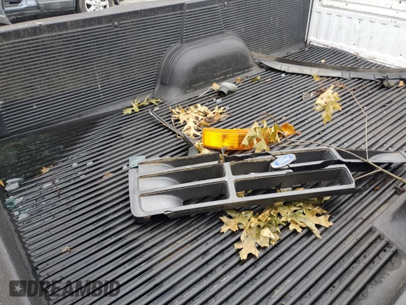 1996 Ford F-150 z VIN 1FTEF15N4TNA21567, wystawiony jako Copart lot #57672285 z przebiegiem Nie podano mil oraz Szkoda całkowita • Salvage title. Historia ofert i sprzedaży dostępna na DreamBid. Obrazek 10.