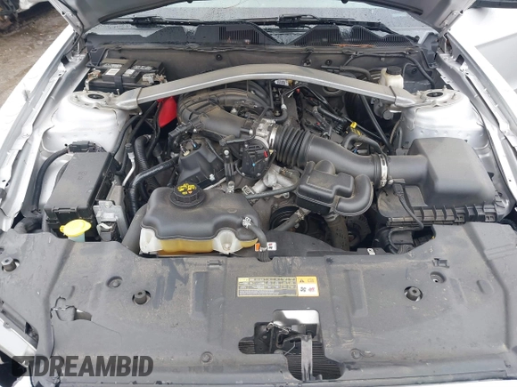 2013 Ford Mustang V6 with VIN 1ZVBP8EM4D5217006, listed as a IAAI auction lot 41560921 with 95,877 mi miles and . Bid and sale history available at DreamBid. Image 10.