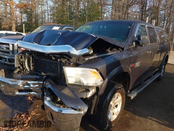 2015 Ram 1500 Big Horn with VIN 1C6RR7TM7FS569176, listed as a IAAI auction lot 41474950 with 220,742 mi miles and . Bid and sale history available at DreamBid. Image 17.