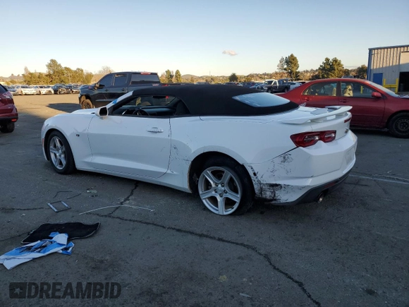 2019 Chevrolet Camaro 1LT with VIN 1G1FB3DSXK0141655, listed as a Copart auction lot 44549565 with 0 mi miles and Salvage Title. Bid and sale history available at carsss.com. Image 2.