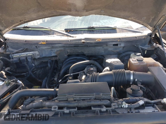 2009 Ford F-150 XL with VIN 1FTRW14809FA56557, listed as a IAAI auction lot 42802888 with 179,928 mi miles and . Bid and sale history available at DreamBid. Image 10.