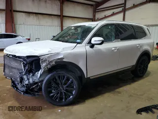 2021 Kia Telluride SX with VIN 5XYP54HC5MG166276, listed as a Copart auction lot 43390455 with 57,437 mi miles and Salvage Title. Bid and sale history available at carsss.com. Image 1.