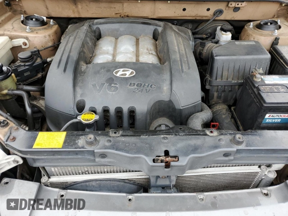 2002 Hyundai Santa Fe GLS with VIN KM8SC73DX2U318190, listed as a Copart auction lot 64256634 with 123,993 mi miles and Non Repairable. Bid and sale history available at carsss.com. Image 11.