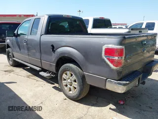 2010 Ford F-150 XL with VIN 1FTEX1C80AKA73738, listed as a IAAI auction lot 42251013 with 146,602 mi miles and . Bid and sale history available at DreamBid. Image 3.