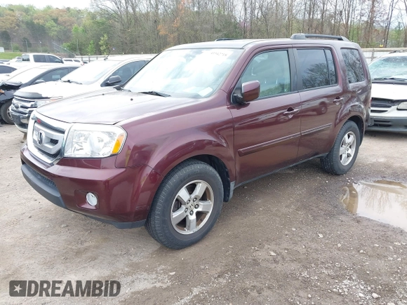 2009 Honda Pilot EX-L with VIN 5FNYF486X9B026041, listed as a IAAI auction lot 41942718 with 219,301 mi miles and . Bid and sale history available at carsss.com. Image 2.