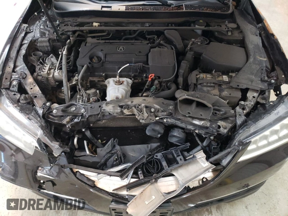 2015 Acura TLX Technology with VIN 19UUB1F5XFA009328, listed as a Copart auction lot 49670035 with Not Provided miles and Clean Title. Bid and sale history available at DreamBid. Image 11.