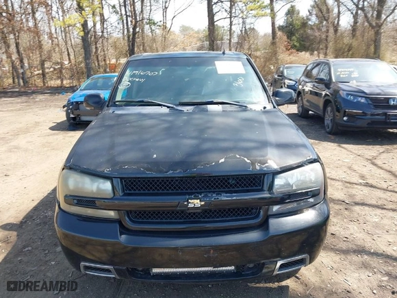 2006 Chevrolet TrailBlazer LT with VIN 1GNET13H062211000, listed as a IAAI auction lot 41916707 with NaN miles. Bid and sale history available at carsss.com. Image 12.