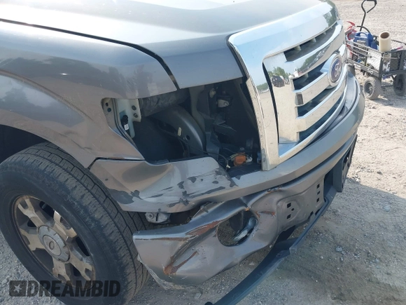 2010 Ford F-150 XL with VIN 1FTEX1E83AFD70461, listed as a IAAI auction lot 42438962 with 234,709 mi miles and . Bid and sale history available at DreamBid. Image 6.