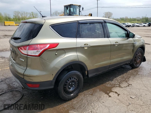 2013 Ford Escape SE с VIN 1FMCU0GX8DUC57566, выставлен на аукционе Copart как лот 55132135 с пробегом 142 402 миль миль и Чистый • Clean title. История ставок и продаж доступна на DreamBid. Изображение 3.