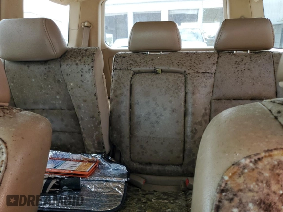 2007 Honda Pilot EX-L with VIN 5FNYF28787B041518, listed as a Copart auction lot 77245944 with Not Provided miles and Non Repairable. Bid and sale history available at DreamBid. Image 10.