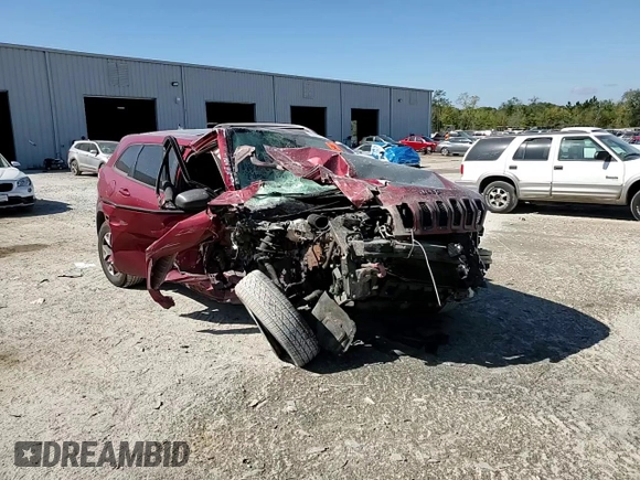 2016 Jeep Cherokee Trailhawk with VIN 1C4PJMBS0GW277367, listed as a Copart auction lot 49656155 with Not Provided miles and Salvage Title. Bid and sale history available at DreamBid. Image 12.