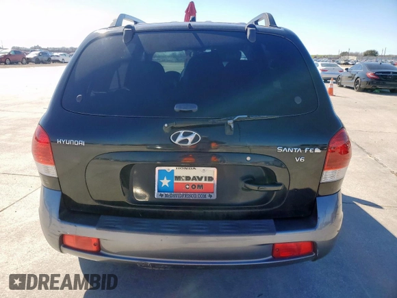 2005 Hyundai Santa Fe GLS with VIN KM8SC13DX5U878941, listed as a Copart auction lot 48025495 with 204,280 mi miles and Clean Title. Bid and sale history available at carsss.com. Image 6.