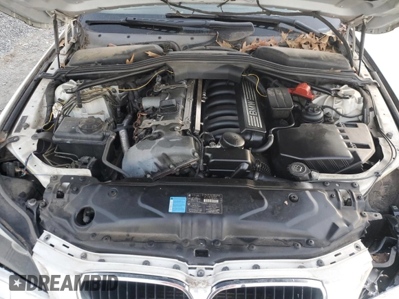 2006 BMW 5 Series 525i with VIN WBANE53506CK82592, listed as a Copart auction lot 42207415 with Not Provided miles and Salvage Title. Bid and sale history available at DreamBid. Image 11.
