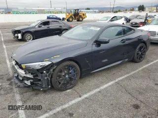 2019 BMW 8 Series M850i xDrive with VIN WBABC4C59KBU96130, listed as a Copart auction lot 82254834 with 0 mi miles and Salvage Title. Bid and sale history available at carsss.com. Image 1.