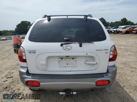 2003 Hyundai Santa Fe GLS with VIN KM8SC13D43U432684, listed as a Copart auction lot 65950054 with 0 mi miles and Salvage Title. Bid and sale history available at carsss.com. Image 6.