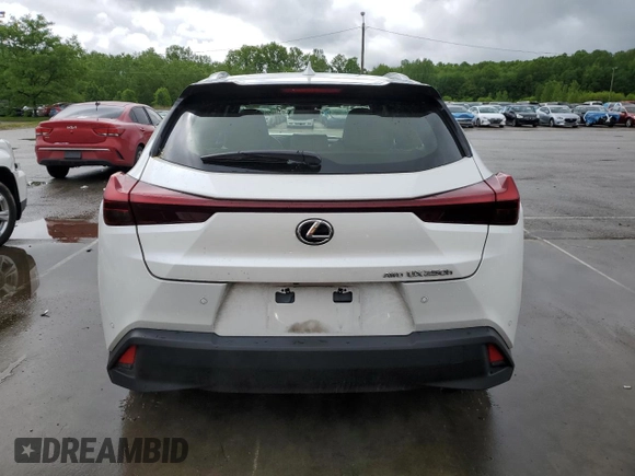 2023 Lexus UX 250h Premium with VIN JTHP9JBH5P2065064, listed as a Copart auction lot 55804155 with 25,204 mi miles and Salvage title. Bid and sale history available at DreamBid. Image 6.