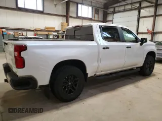 2019 Chevrolet Silverado 1500 LT Trail Boss with VIN 1GCPYFED3KZ176691, listed as a Copart auction lot 80933434 with 115,087 mi miles and Salvage Title. Bid and sale history available at DreamBid. Image 3.