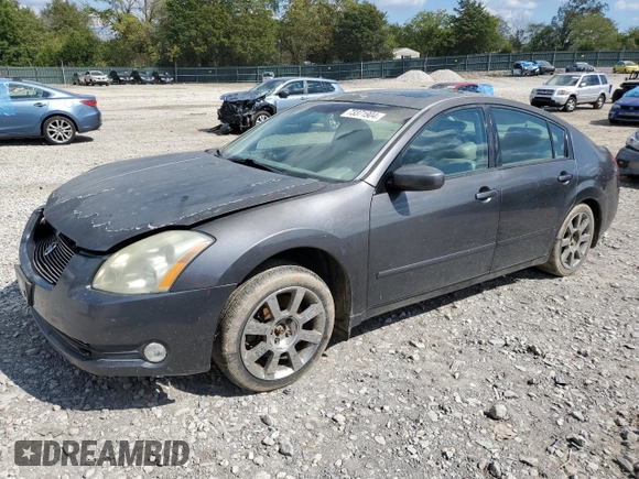 2006 Nissan Maxima 3.5 SE with VIN 1N4BA41EX6C842106, listed as a Copart auction lot 73371904 with 176,934 mi miles and Salvage Title. Bid and sale history available at carsss.com. Image 1.