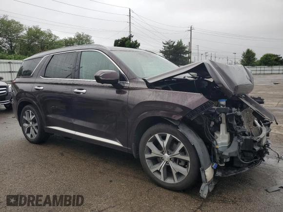 2020 Hyundai Palisade Limited with VIN KM8R5DHE0LU066511, listed as a Copart auction lot 58462025 with 97,295 mi miles and Salvage title. Bid and sale history available at DreamBid. Image 4.