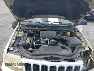 2002 Jeep Grand Cherokee Limited z VIN 1J4GX58N62C195783, wystawiony jako IAAI lot #42745397 z przebiegiem 242 502 mil mil oraz . Historia ofert i sprzedaży dostępna na DreamBid. Obrazek 10.