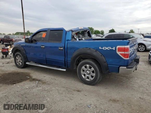 2013 Ford F-150 XL with VIN 1FTFW1EF1DKD22149, listed as a Copart auction lot 58136975 with 202,594 mi miles and Salvage title. Bid and sale history available at DreamBid. Image 2.