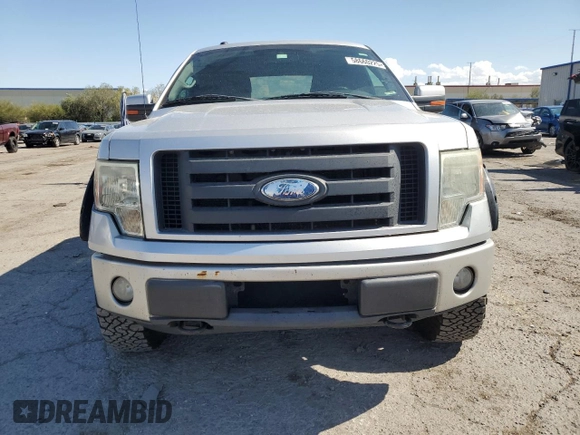 2009 Ford F-150 XL with VIN 1FTPW14V39FA07124, listed as a Copart auction lot 58660225 with 169,321 mi miles and Salvage title. Bid and sale history available at DreamBid. Image 5.