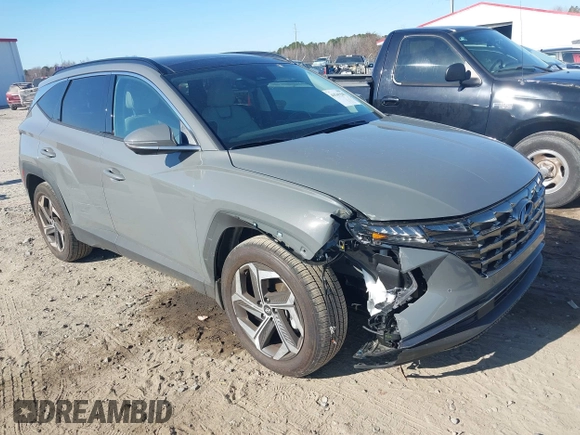 2024 Hyundai Tucson Limited with VIN 5NMJE3DE7RH366483, listed as a IAAI auction lot 41541545 with 4,380 mi miles and . Bid and sale history available at DreamBid. Image 1.