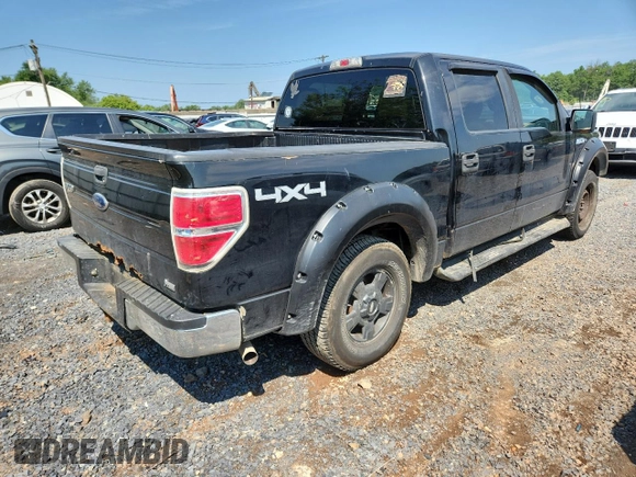 2010 Ford F-150 XL with VIN 1FTFW1EV9AFA81260, listed as a Copart auction lot 63248525 with 141,029 mi miles and Clean title. Bid and sale history available at DreamBid. Image 3.