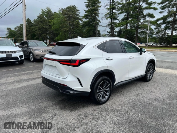2022 Lexus NX 250 with VIN 2T2ADCAZ0NC001827, listed as a Copart auction lot 61865755 with 18,444 mi miles and Clean title. Bid and sale history available at DreamBid. Image 4.