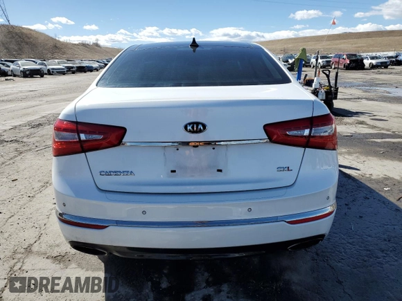 2014 Kia Cadenza Premium with VIN KNALN4D70E5147116, listed as a Copart auction lot 46510605 with 92,793 mi miles and Clean Title. Bid and sale history available at carsss.com. Image 6.