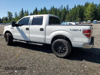 2010 Ford F-150 XL with VIN 1FTEW1E8XAFB89795, listed as a Copart auction lot 62423115 with 402,162 mi miles and Salvage title. Bid and sale history available at DreamBid. Image 2.