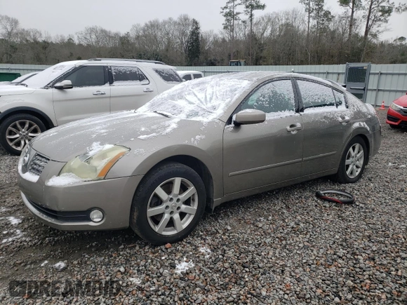 2005 Nissan Maxima 3.5 SL with VIN 1N4BA41E05C839052, listed as a Copart auction lot 89384055 with 234,691 mi miles and Salvage Title. Bid and sale history available at carsss.com. Image 1.