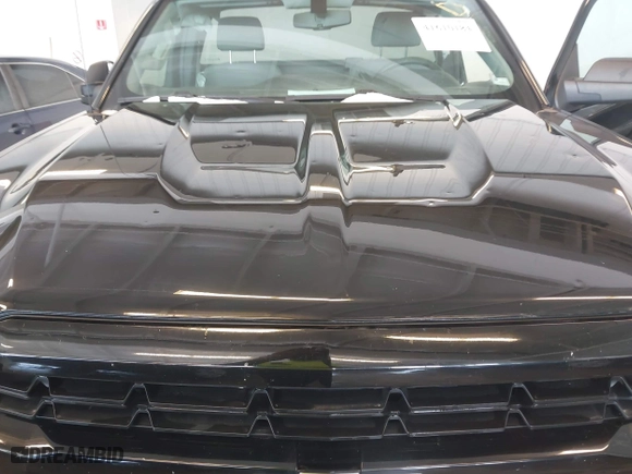 2016 Chevrolet Silverado 1500 Work Truck with VIN 1GCNCNECXGZ428564, listed as a IAAI auction lot 41610184 with 160,983 mi miles. Bid and sale history available at carsss.com. Image 18.
