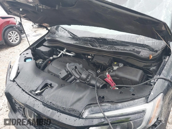 2021 Honda Passport Sport with VIN 5FNYF7H29MB000120, listed as a IAAI auction lot 41129219 with Not provided miles and . Bid and sale history available at DreamBid. Image 10.