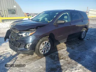 2019 Chevrolet Equinox LS z VIN 3GNAXHEV1KL254140, wystawiony jako Copart lot #49371665 z przebiegiem 80 870 mil mil oraz Szkody całkowita. Historia ofert i sprzedaży dostępna na DreamBid. Obrazek 1.