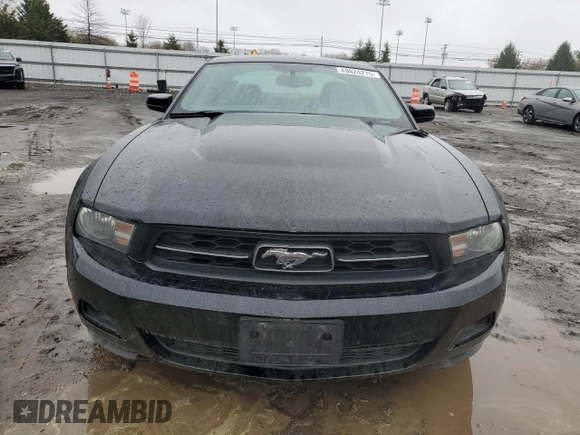 2010 Ford Mustang V6 with VIN 1ZVBP8AN3A5112855, listed as a Copart auction lot 49824275 with 161,778 mi miles and Salvage Title. Bid and sale history available at DreamBid. Image 5.