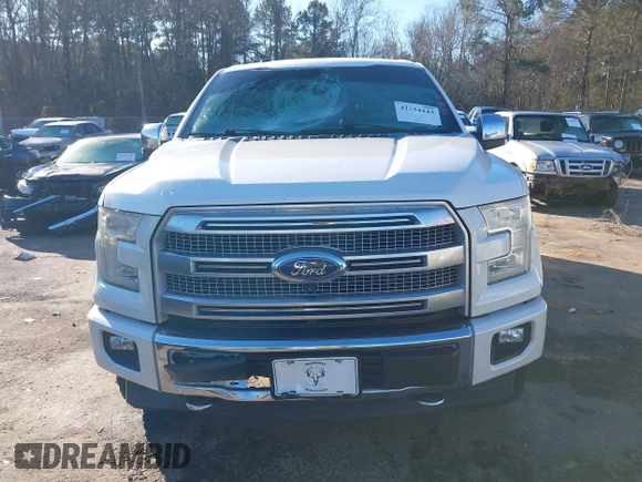 2017 Ford F-150 XL with VIN 1FTEW1EF5HFA07428, listed as a IAAI auction lot 41334443 with 178,545 mi miles. Bid and sale history available at carsss.com. Image 12.