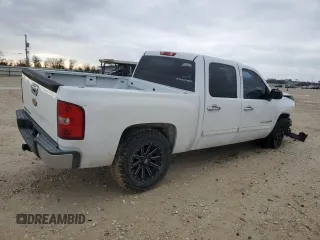 2009 Chevrolet Silverado 1500 LT with VIN 2GCEC23C191139697, listed as a Copart auction lot 88074455 with 243,119 mi miles and Salvage Title. Bid and sale history available at carsss.com. Image 3.