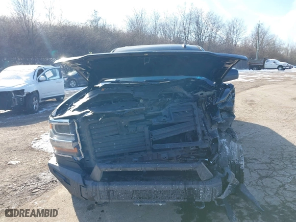 2017 Chevrolet Silverado 1500 LT with VIN 1GCVKREC5HZ285423, listed as a IAAI auction lot 41411392 with 174,759 mi miles. Bid and sale history available at carsss.com. Image 13.