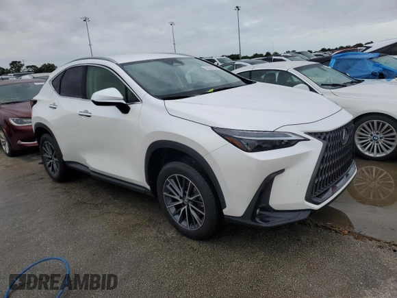 2023 Lexus NX 250 with VIN JTJADCAZ5P2006346, listed as a Copart auction lot 74574774 with Not provided miles and Salvage title. Bid and sale history available at DreamBid. Image 4.