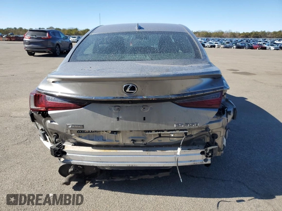 2019 Lexus ES with VIN 58ABZ1B19KU010665, listed as a Copart auction lot 46840835 with 68,587 mi miles and Salvage Title. Bid and sale history available at carsss.com. Image 6.
