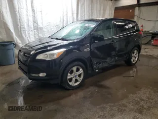 2013 Ford Escape SE with VIN 1FMCU9G91DUD00263, listed as a Copart auction lot 53539085 with 189,495 mi miles and Salvage Title. Bid and sale history available at carsss.com. Image 1.