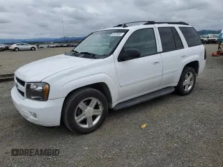 2007 Chevrolet TrailBlazer LS with VIN 1GNDT13S672122024, listed as a Copart auction lot 53678085 with 203,456 mi miles and Salvage Title. Bid and sale history available at DreamBid. Image 1.