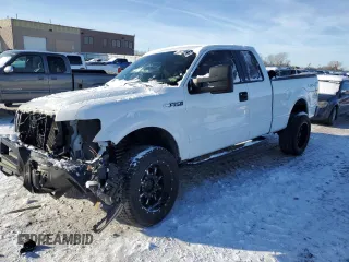2010 Ford F-150 XL с VIN 1FTEX1EW6AKE77767, выставлен на аукционе Copart как лот 38702614 с пробегом 225 004 миль миль и Списание • Salvage title. История ставок и продаж доступна на DreamBid. Изображение 1.