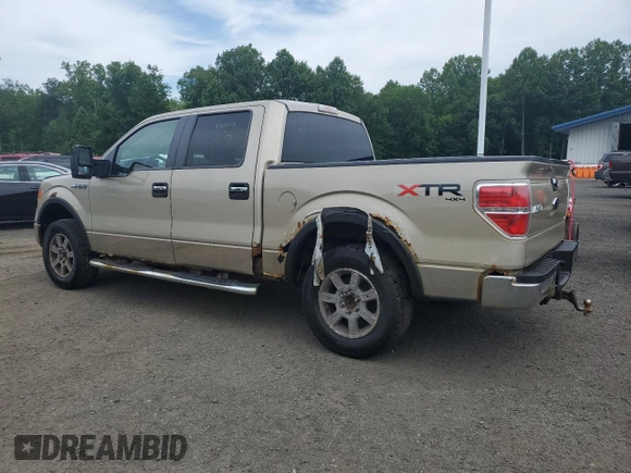 2010 Ford F-150 XL with VIN 1FTEW1E88AFD58115, listed as a Copart auction lot 62996725 with 179,894 mi miles and Clean title. Bid and sale history available at DreamBid. Image 2.