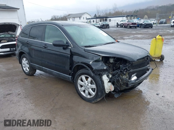 2009 Honda CR-V EX with VIN 5J6RE48509L045901, listed as a IAAI auction lot 41990313 with 223,305 mi miles and . Bid and sale history available at DreamBid. Image 1.